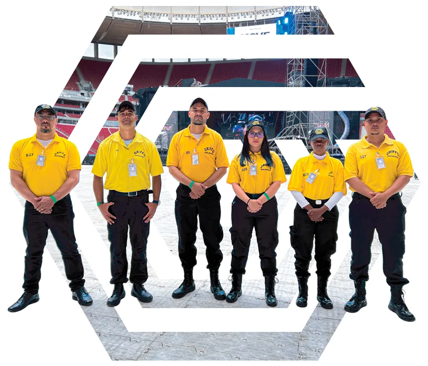 Grupo Griffo: Integridade e Profissionalismo em Cada Serviço